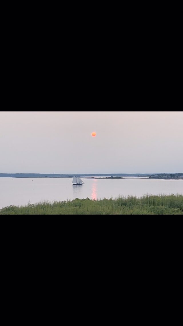 “It is this way with wonder: it takes a bit of patience, and it takes putting yourself in the right place at the right time. It requires that we be curious enough to forgo our small distractions in order to find the world.” ~ Aimee Nezhukumatathil.  Stepping outside at dusk tonight, we found ourselves in the right place. #maine #baileyisland #wonder #sunset #summer
