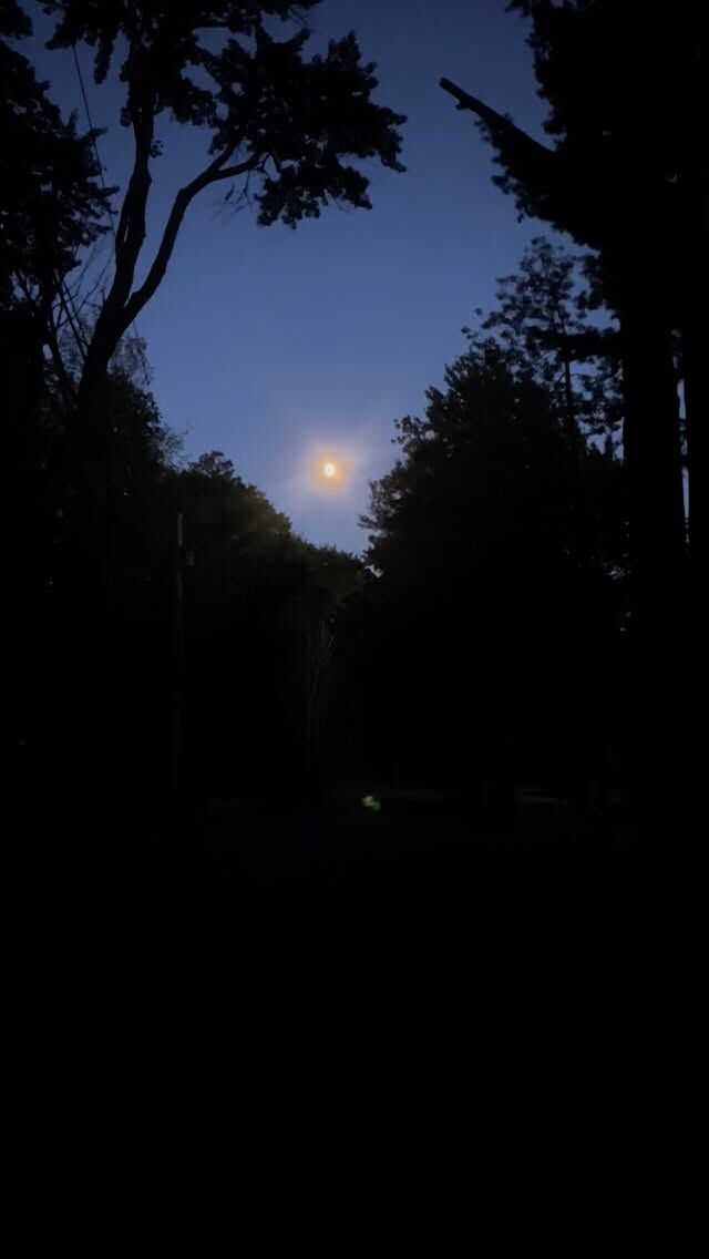 “The crickets sang in the grasses. They sang the song of summer’s ending, a sad monotonous song. “Summer is over and gone, over and gone, over and gone. Summer is dying, dying.” “ ~ E. B. White, “Charlotte’s Web.” It is surely the most poignant soundtrack of our year, and these nights I step outside before bed to listen with my whole body. Sad, yes, but never monotonous.  #crickets #autumn